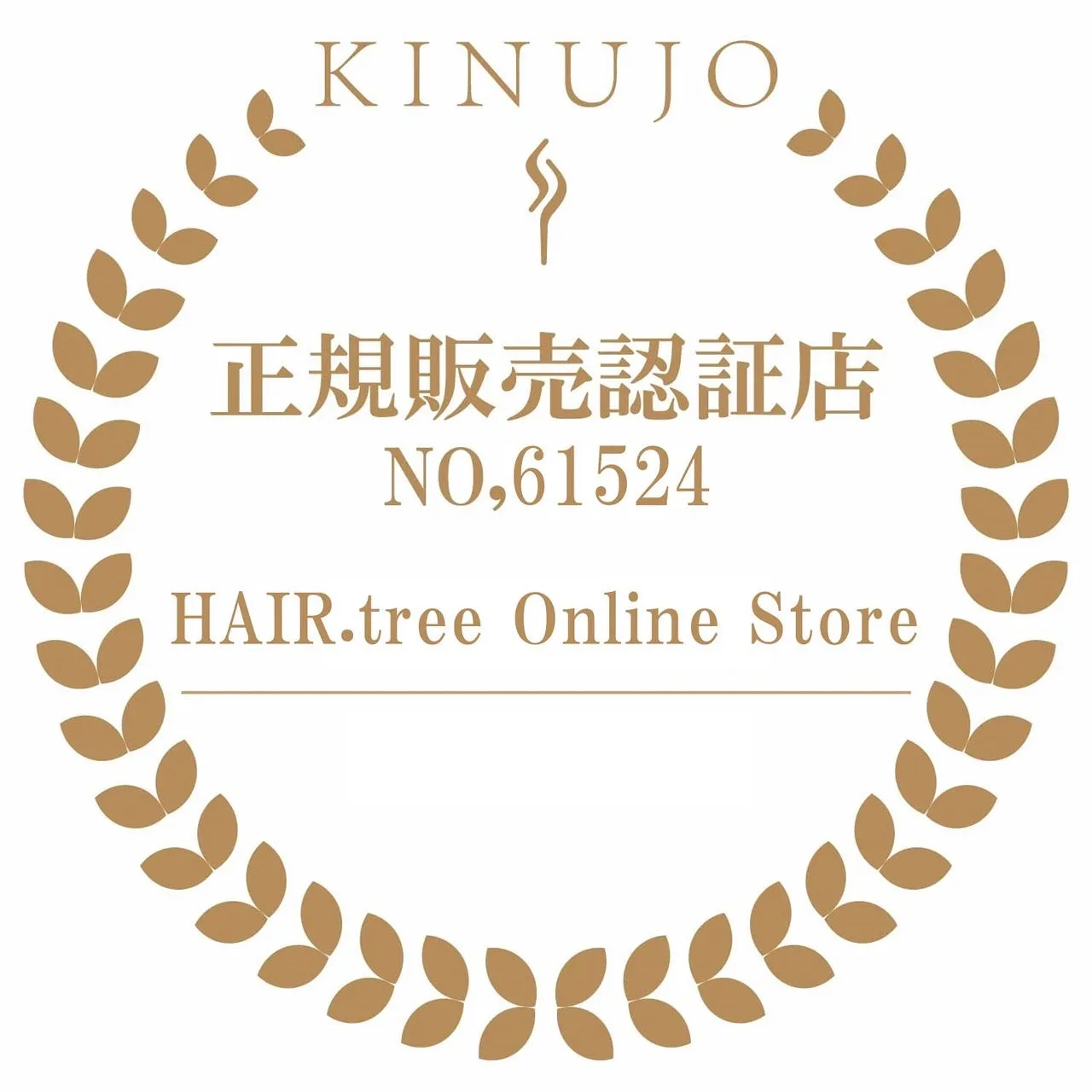 【加盟店限定10%OFF】KINUJO SILKPLATE スレートアイロン　